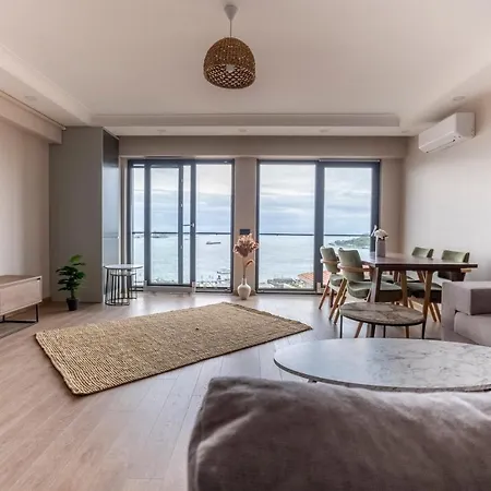 New And Modern Flat With Sea View 公寓 伊斯坦布尔